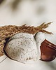 figurki i rzeźby Tukan ceramiczny 1