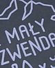 t-shirty dla chłopców Koszulka dziecięca MAŁY SZWENDACZ szara - 3-4 lata 1