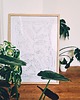 plakaty Plakat do Kolorowania Roślina Herbaciana Camelia Sinensis 50x70cm 3