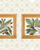 grafiki i ilustracje 2 grafiki botaniczne vintage plakaty roślinne 4
