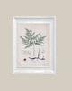 grafiki i ilustracje Ilustracje botaniczne paproć vintage 1