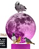 grafiki i ilustracje Autorska grafika - wydruk (A5-A2) 1