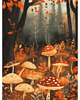 puzzle dla dzieci Grzybobranie Puzzle 500 Elementów 2