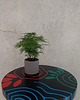 stołki Taboret z litego drewna z wyjątkowymi ręcznie malowanymi akcentami 4