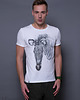 t-shirt damskie T-shirt Zebra 1