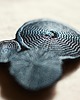 broszki FUNGI  - haftowana broszka 1