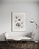 grafiki i ilustracje Muszle   print 50x70 cm 3