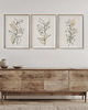 plakaty Zestaw 3 stylowych plakatów w stylu Boho, rośliny, liście, kwiaty, line art. 3