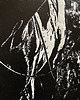 grafiki i ilustracje Linoryt "Portret karego konia" 2