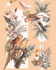 plakaty Plakat PAPUGARNIA (KOLAŻ) 5