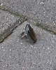 pierścionki - różne Jutro też jest dzień - pierścionek regulowany 4