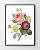 plakaty Plakat Vintage Flowers 1