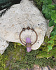 wisiory Miedziany wisior amulet z kwarcami 2