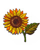 naszywki na ubrania Naszywka Sunflower 1