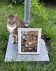plakaty Plakat Cat Cafe 1