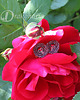kolczyki wire wrapping Fleur de mort 4