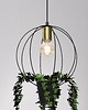 lampy wiszące LAMPA WISZĄCA Z DONICZKĄ KULA E27 DONICA ZIOŁA 3