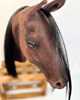 zabawki - inne Realistyczny Hobby Horse ciemny kasztan/czarna 7