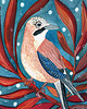plakaty Snow Jay ilustracja drukowana 1