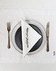 obrusy i serwetki Serwetka lniana PURE WHITE prewashed 2
