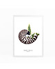 grafiki i ilustracje NAUTILUS A3 3