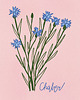 grafiki i ilustracje Chaber. Ilustracja 13x18cm 2