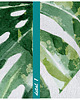 obrazy Obraz na płótnie ROŚLINKA MONSTERA 70x100cm 3