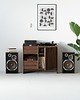 komody i szafki FUSE - szafka pod gramofon, lite drewno orzechowe 2