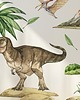 naklejki ścienne do pokoju dziecka Dinozaury naklejki ścienne - Tyranozaur i Pteranodon A210 6