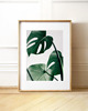 fotografia PLAKAT MONSTERA LIŚCIE BOTANICZNY z monsterą 3