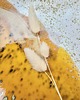 patery i talerze Patera *MILK & HONEY* 32cm 1