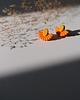 kolczyki z masy plastycznej WACHLARZE małe kolczyki sztyfty 1