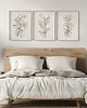 plakaty Zestaw 3 stylowych plakatów w stylu Boho, rośliny, liście, kwiaty, line art. 4