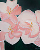 obrazy Secret garden / 100x100 7