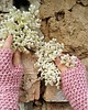 rękawiczki damskie Mitenki bawełna merino COSY różowe 2