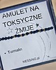 bransoletki z kamieni naturalnych Bransoletka amulet na toksyczne żmije 3