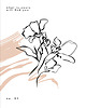 plakaty Zestaw plakatów - Minimalistyczne kwiaty line art (set266) 2