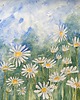 obrazy Akwarela Rumianek na łące oryginalny obraz 300g A3 30x42 cm 2