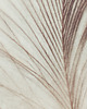 fotografia pióro vintage fotografia plakat 3