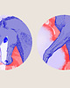 grafiki i ilustracje Alicorn 4