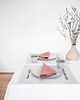 podkładki do kuchni Podkładka Heavy Linen LIGHT GRAY 5