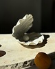 pojemniki na biżuterię Ceramiczna Muszla Muszelka Skarbiec z Perłą na Biżuterię Perłowa Biel 2