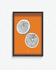 plakaty Plakat  Citrus paradisi 1