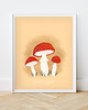 plakaty Plakat Muchomory - Same Trujaki 1