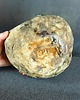 figurki i rzeźby Naczynie ceramiczne rzeźbione ćmy - seria "Kamienny sen" 8