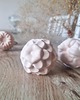 gałki do mebli Ceramiczny Uchwyt, Gałka Meblowa Kwiat 2 1