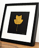 Ozdoby na ścianę Złoty Liść w Ramie 25x25cm. Tulipanowiec amerykański. Obraz Handmade 2