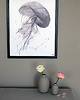 plakaty Plakat Meduza roz. 61x91 cm 3