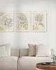 plakaty Zestaw 3 stylowych plakatów w stylu Boho, rośliny, monstera, line art. 2