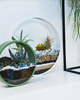 doniczki Zestaw  dwóch doniczek ściennych Circle planter 2